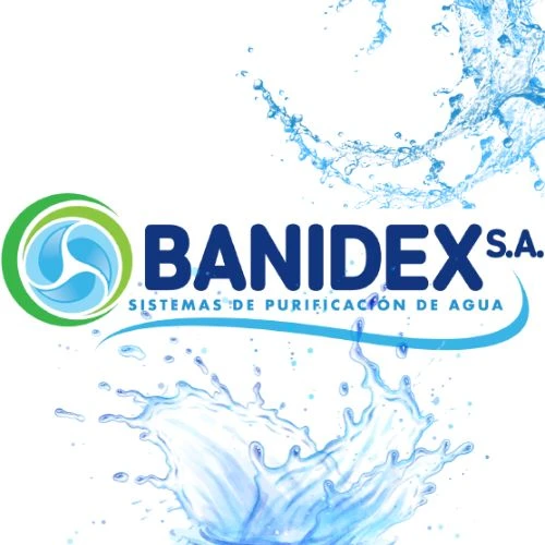 Logo 1